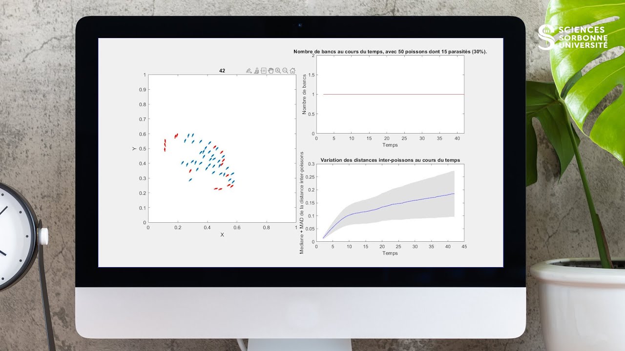 Modelling of Marine Environments