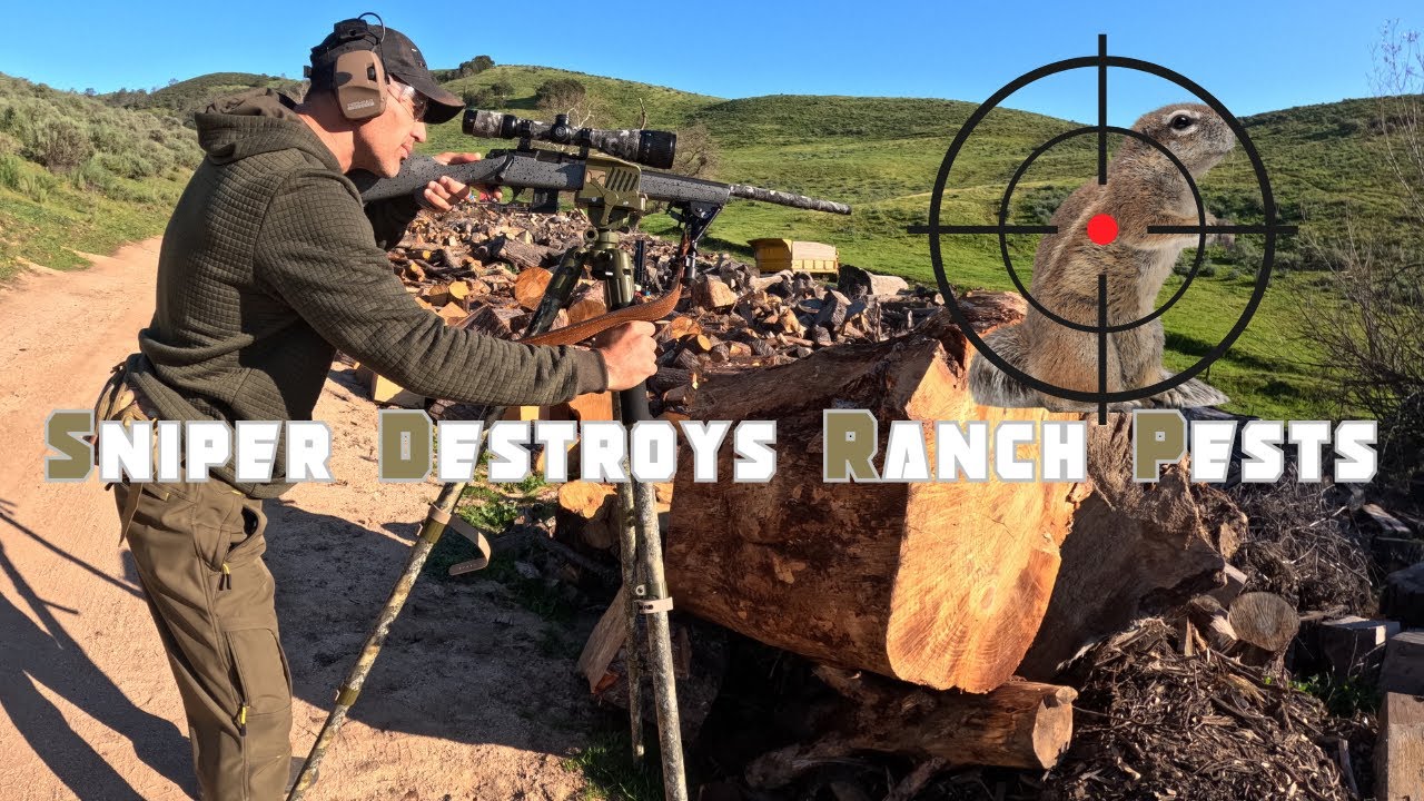 Squirrel Sniper Takes on The Whole Brothel!