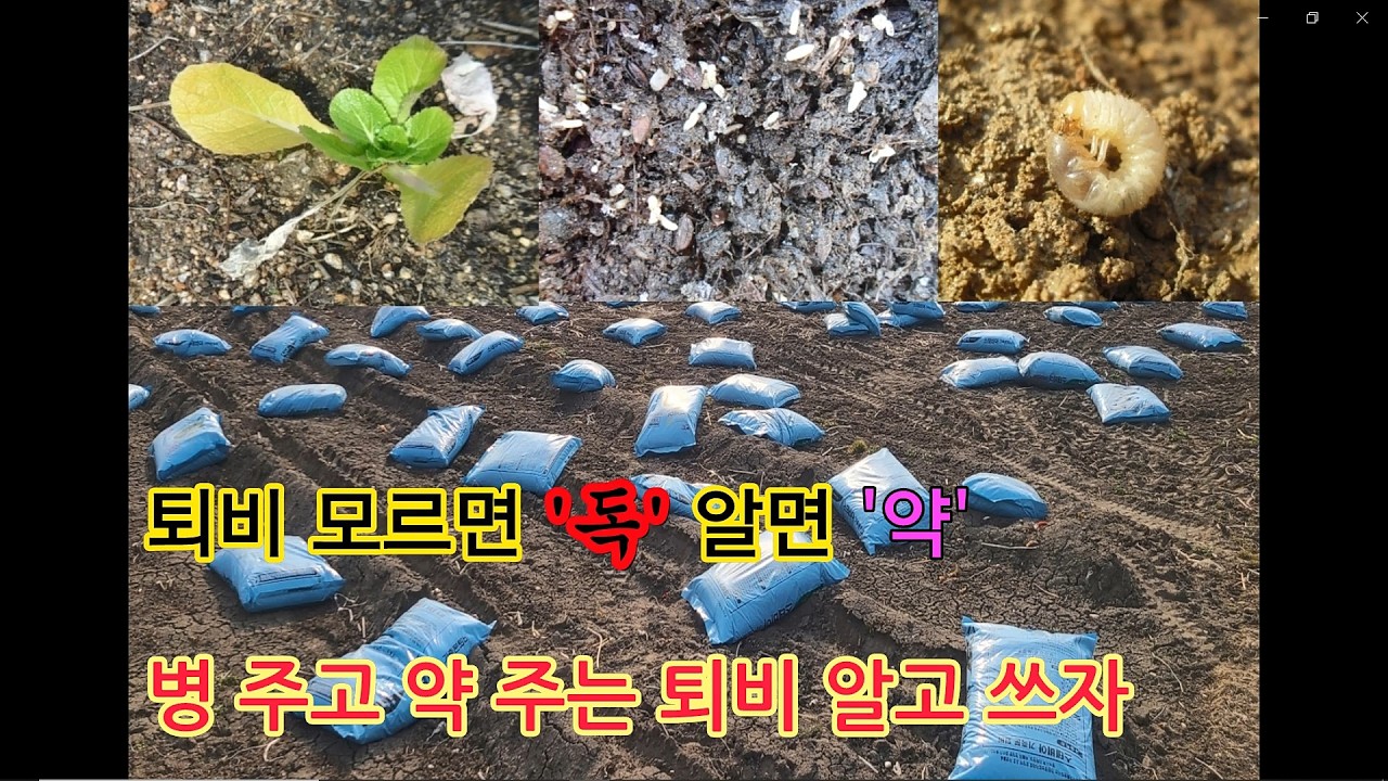 병해충 불러오는 퇴비 ㅣ퇴비와 비료는 무엇인가