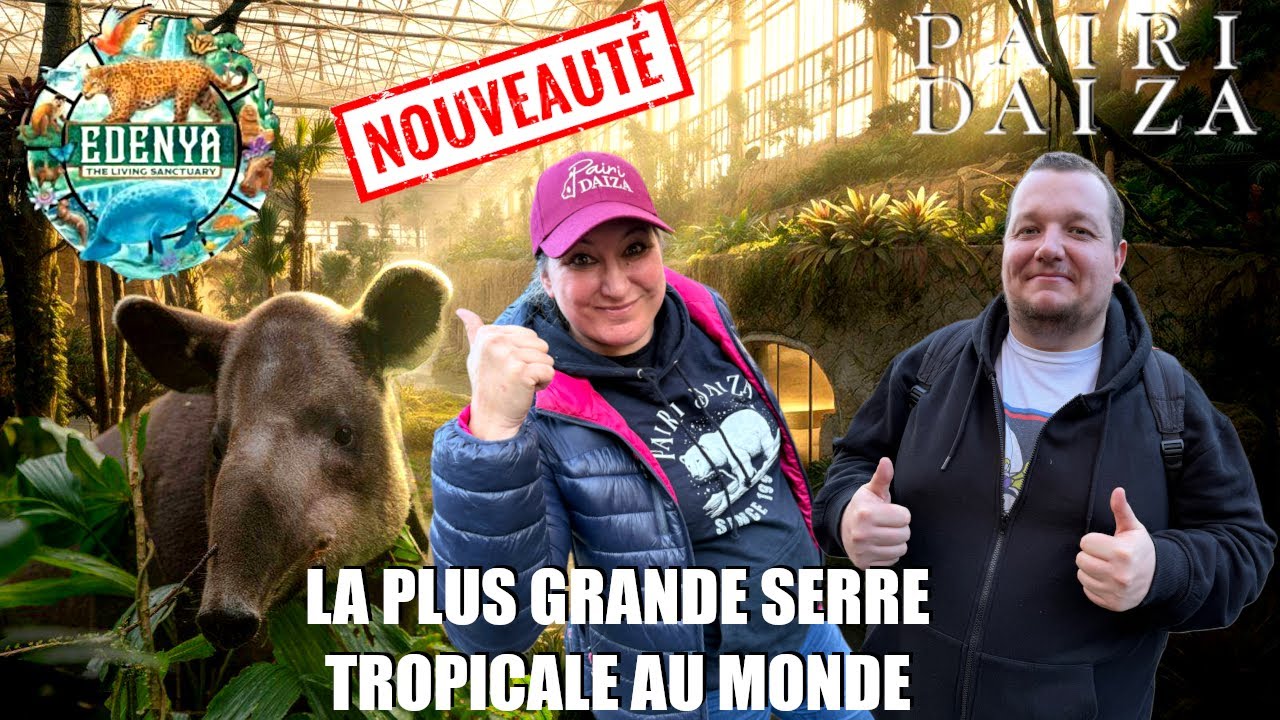 DECOUVERTE DE EDENYA NOUVEAUTE 2026 A PAIRI DAIZA - LA PLUS GRANDE SERRE TROPICALE AU MONDE