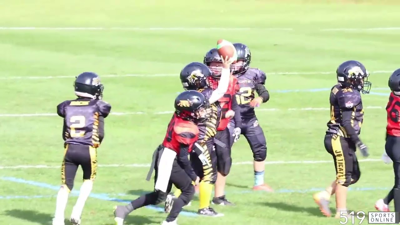 OFFL Football (Under 10) - Hamilton Jr. Tiger Cats vs Guelph Jr. Gryphons