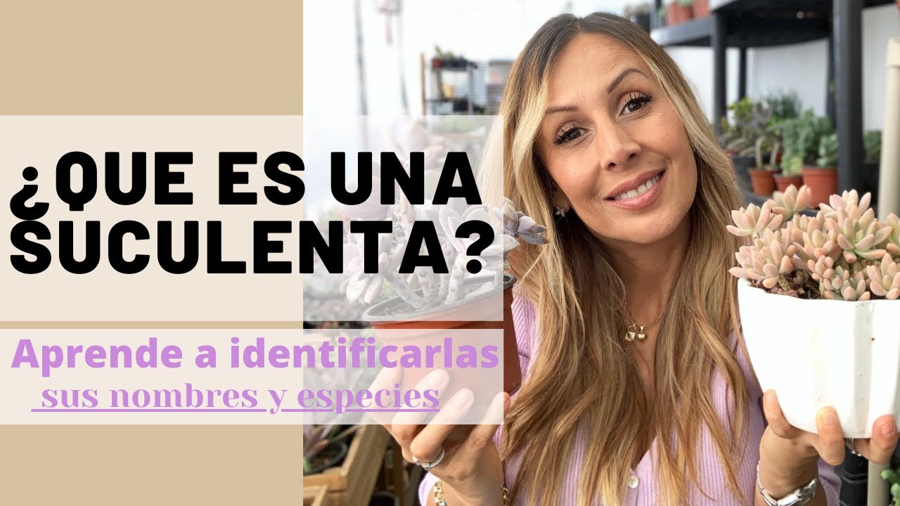 👩🏼&zwj;🌾 &iquest;Que son las suculentas? aprende a identificarlas y cuidarlas