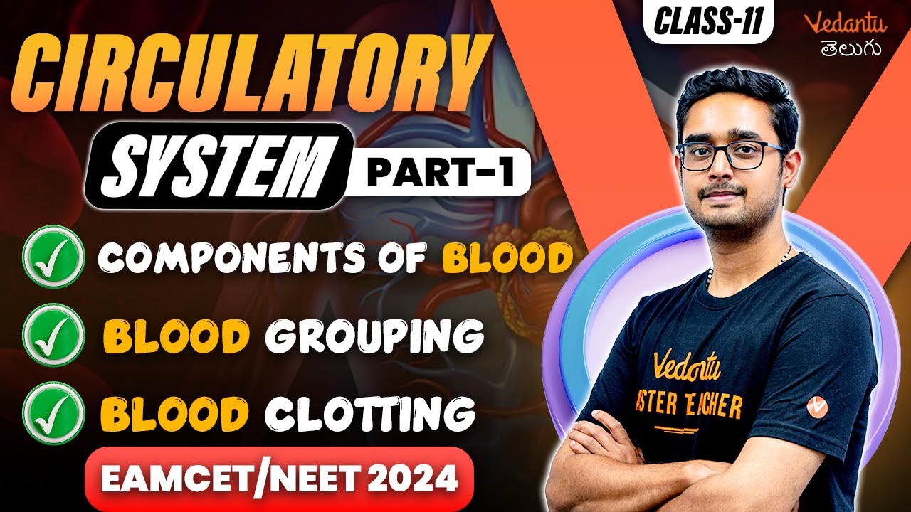 Circulatory System 01 | Blood and it's components Class 11 | EAMCET 2024 | NEET 2024 | Ajay sir