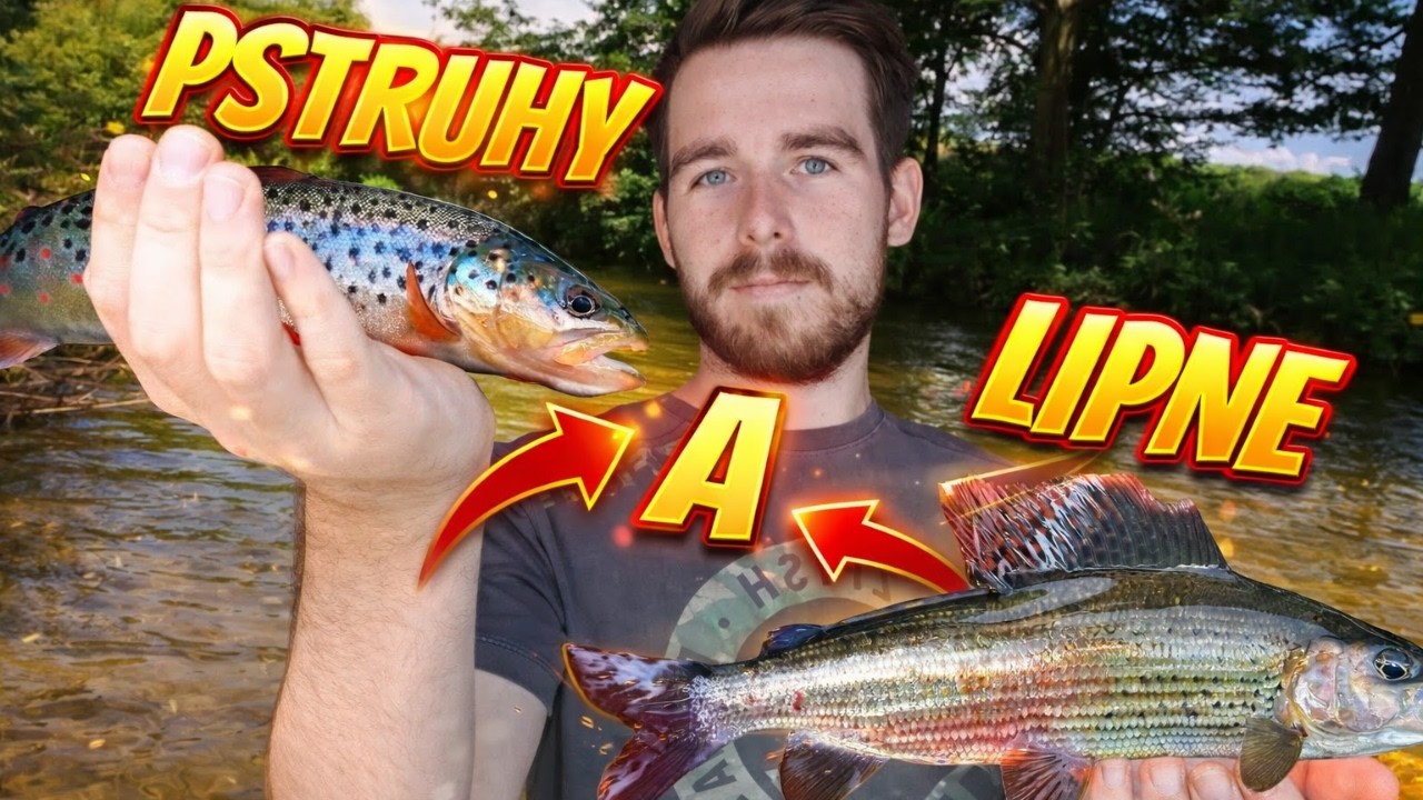 🎣Pstruhovka plná rýb🎣lov lipňov a pstruhov na umelé mušky, rybárske videá