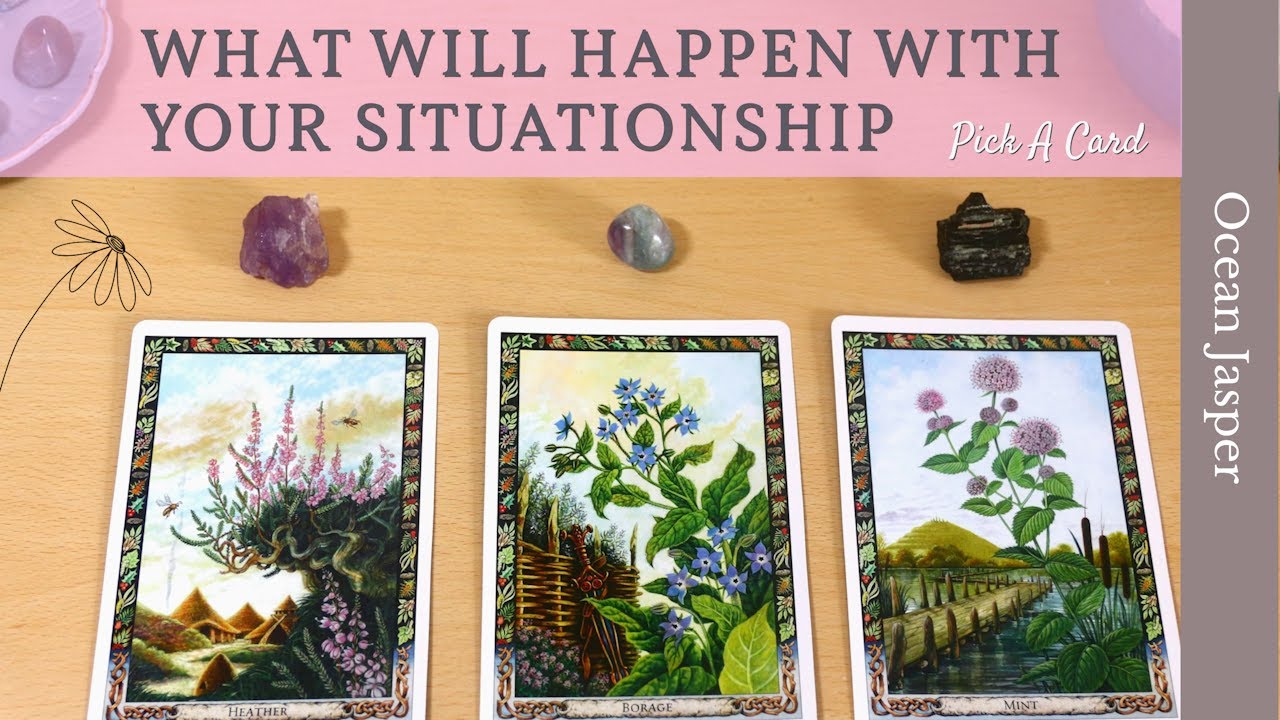 WHAT WILL HAPPEN WITH THE SITUATION YOU HAVE IN MIND 🌷🌿