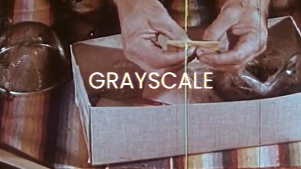 $UICIDEBOY$ - GRAYSCALE (FEAT. JGRXXN x BLACK SMURF x RVMIRXZ) (Remix)