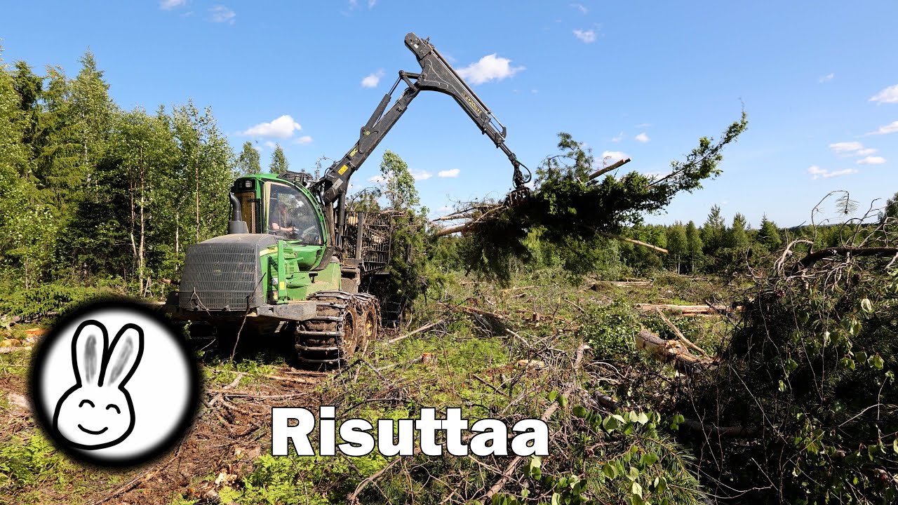 Risut 2025