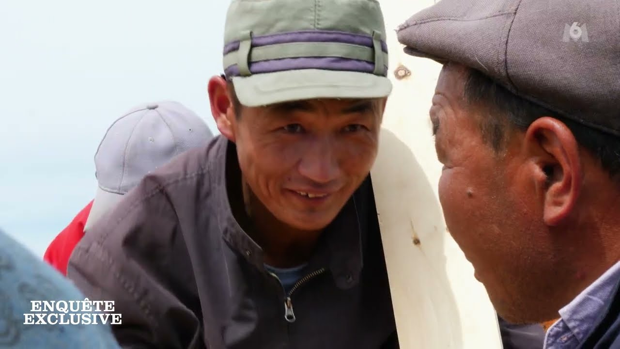 Enquête Exclusive - Tsaatans de Mongolie : les derniers hommes libres
