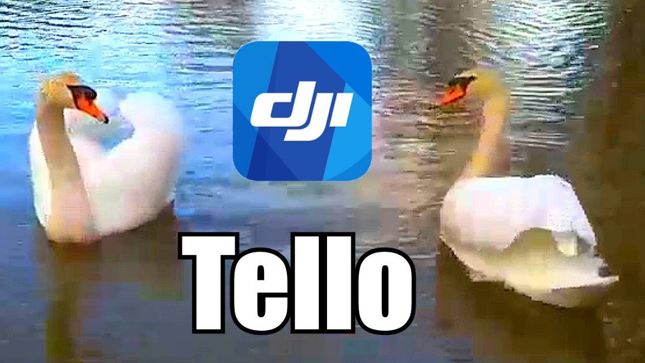 DJI \ RYZE TELLO DRONE (ONBOARD FOOTAGE): ESSENTIAL RC FLIGHT TEST
