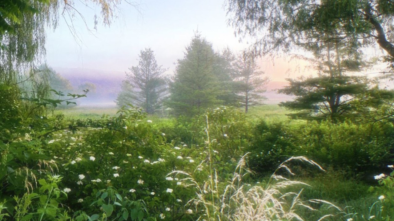 a quiet playlist for quiet days🍃 (reading & studying)