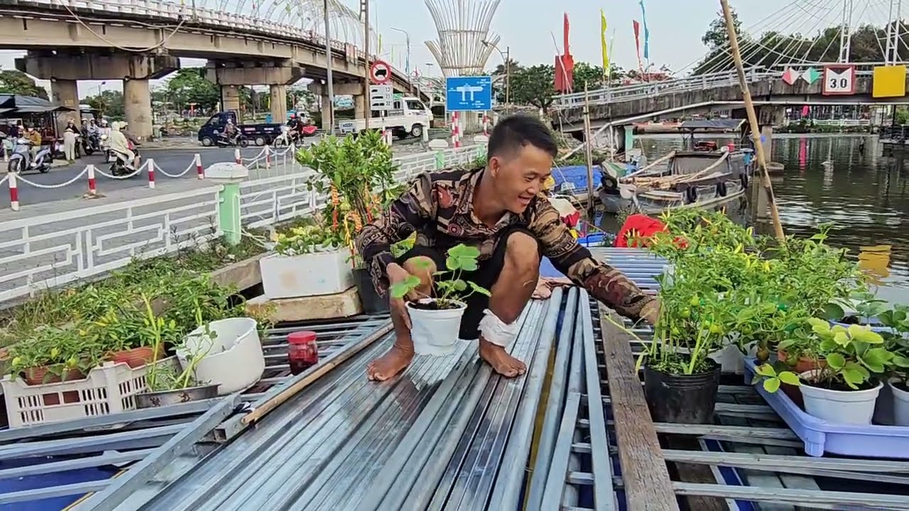 Trọng Sún Dọn Ghe Khởi Hành Đi Về Nhà Bà Con Lắp Mui Ghe Bữa Cuối Tại Chợ Vĩnh Thuận ?