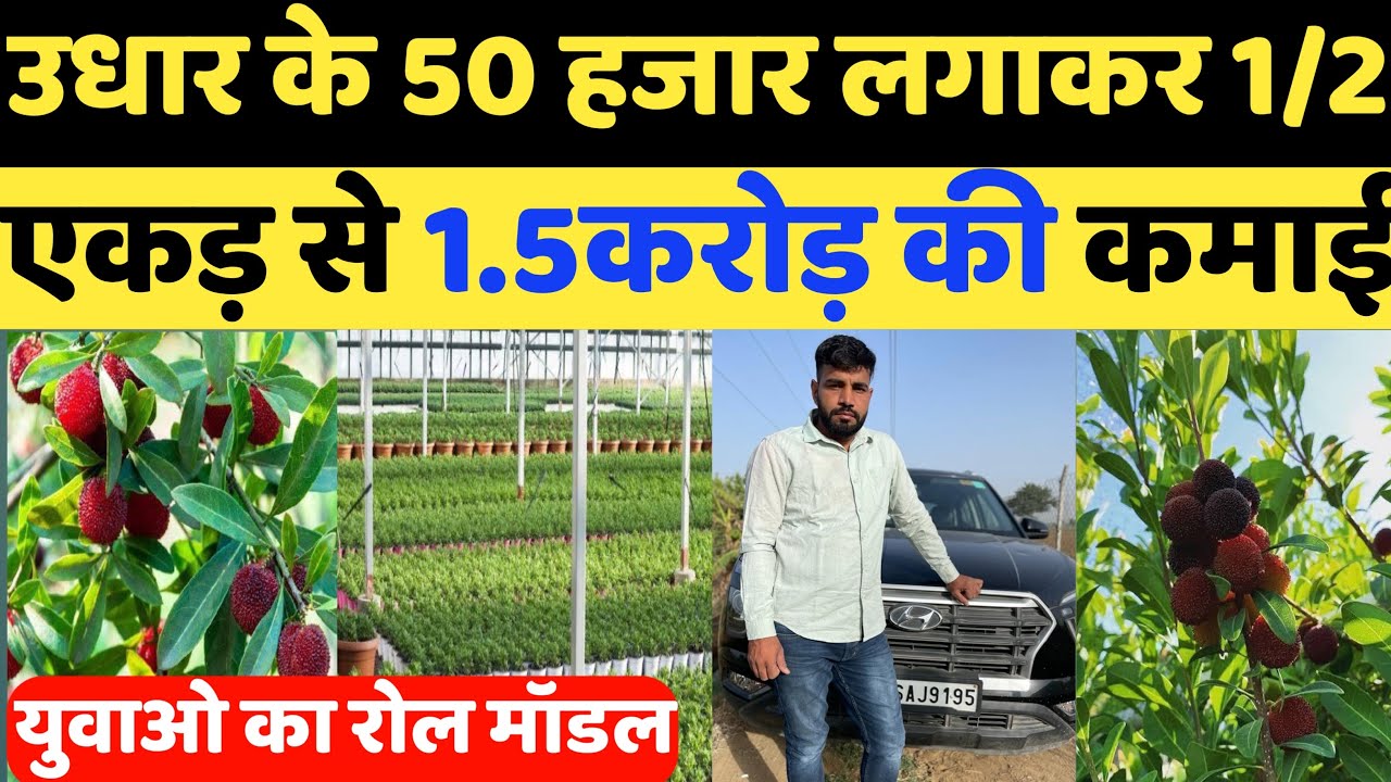 आधा एकड़ जमीन में 50 हजार लगाकर डेढ़ करोड़ की कमाई | Nursery Plant  | Modern Farming | Kheti