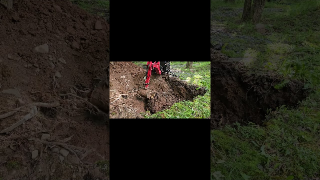 Karczowanie terenu: traktor kontra gigantyczny pień