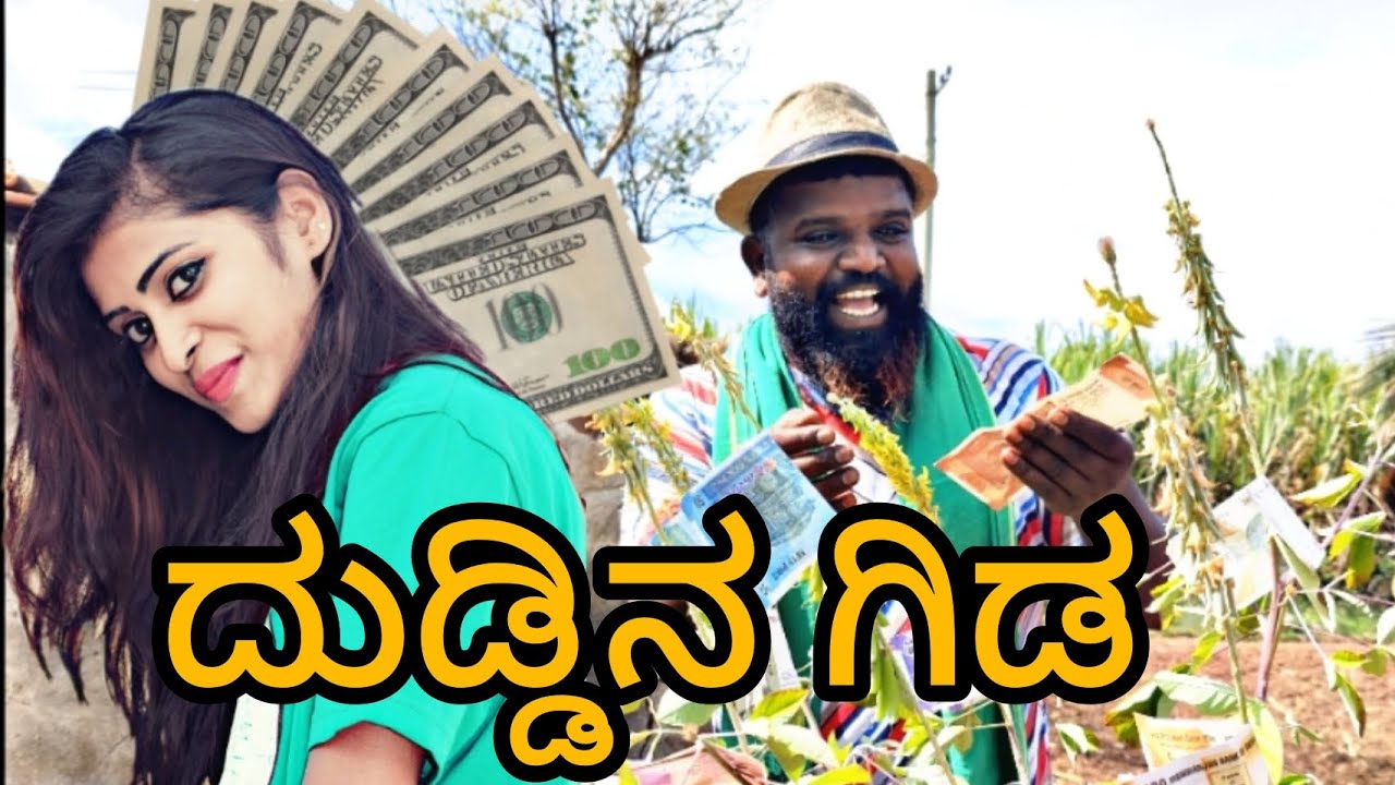 ದುಡ್ಡಿನ ಗಿಡ