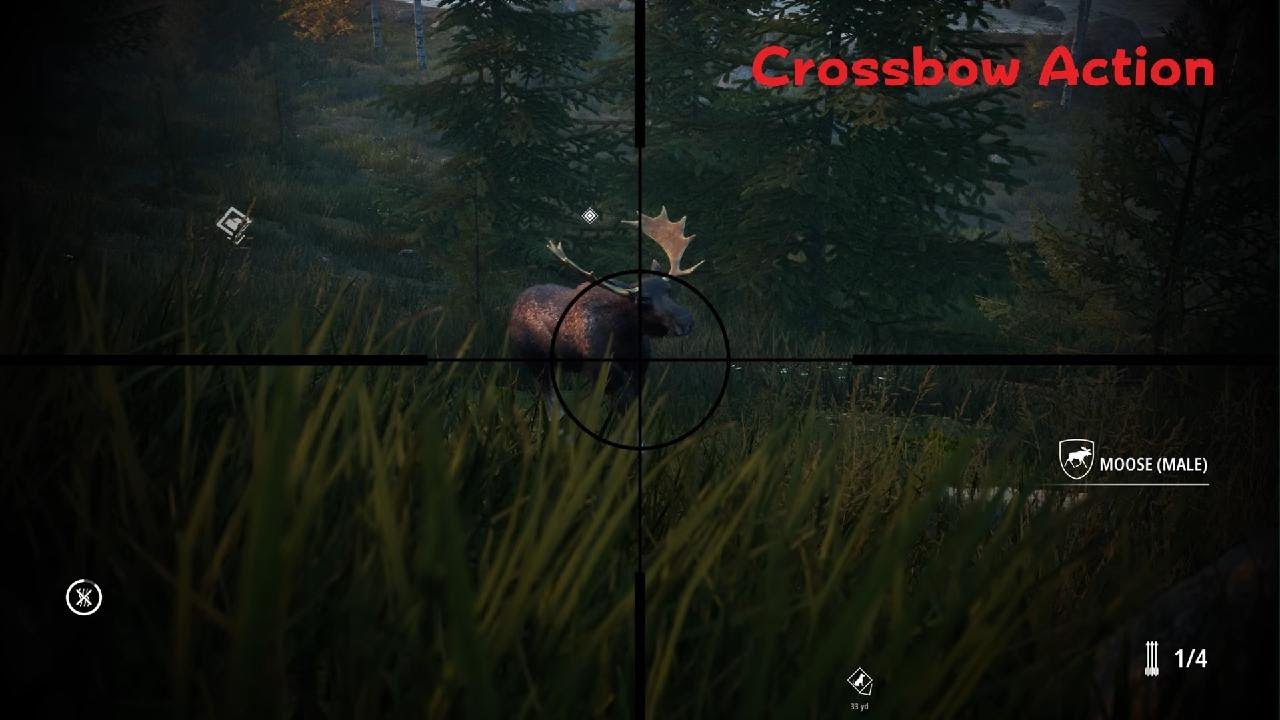Hunting Simulator 2_2026 Roservelt Forest Colorado Moose