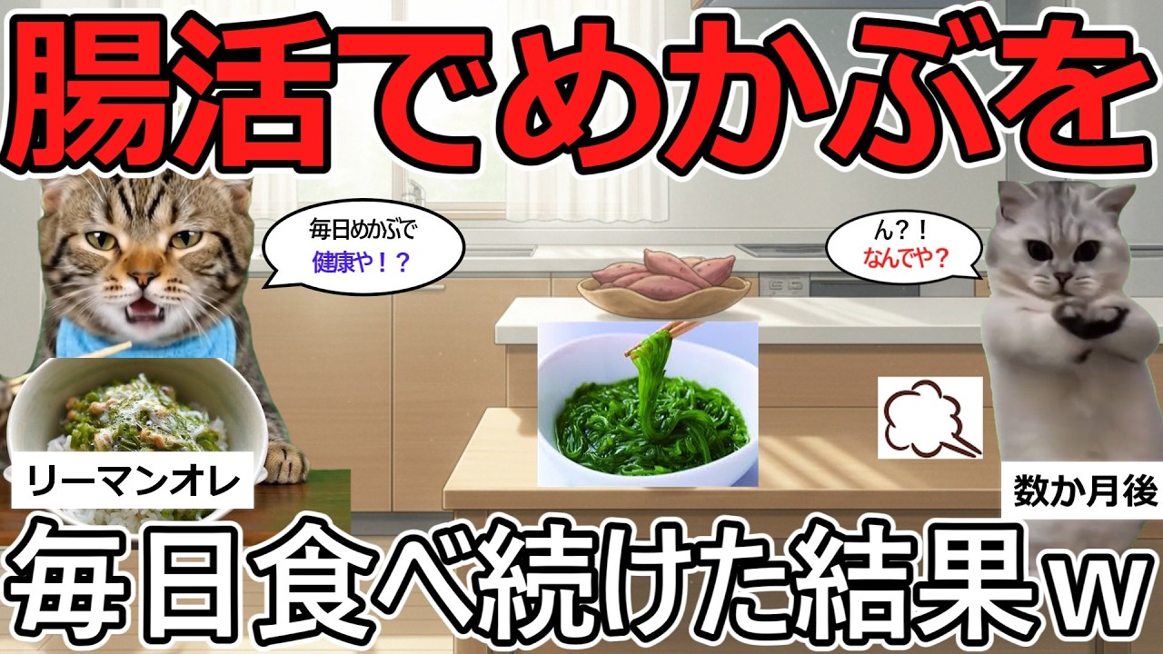 【猫ミーム】腸活！めかぶを毎日食べ続けたオレの結末ｗｗ