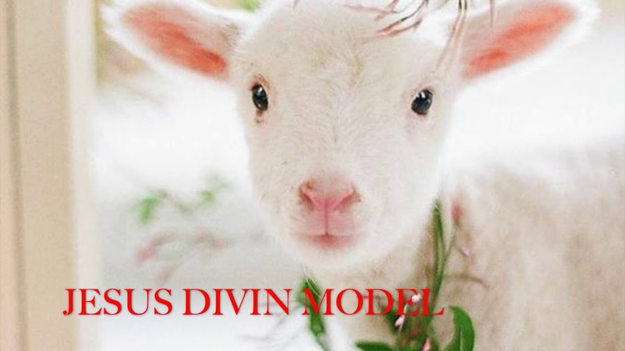 JESUS DIVIN MODEL