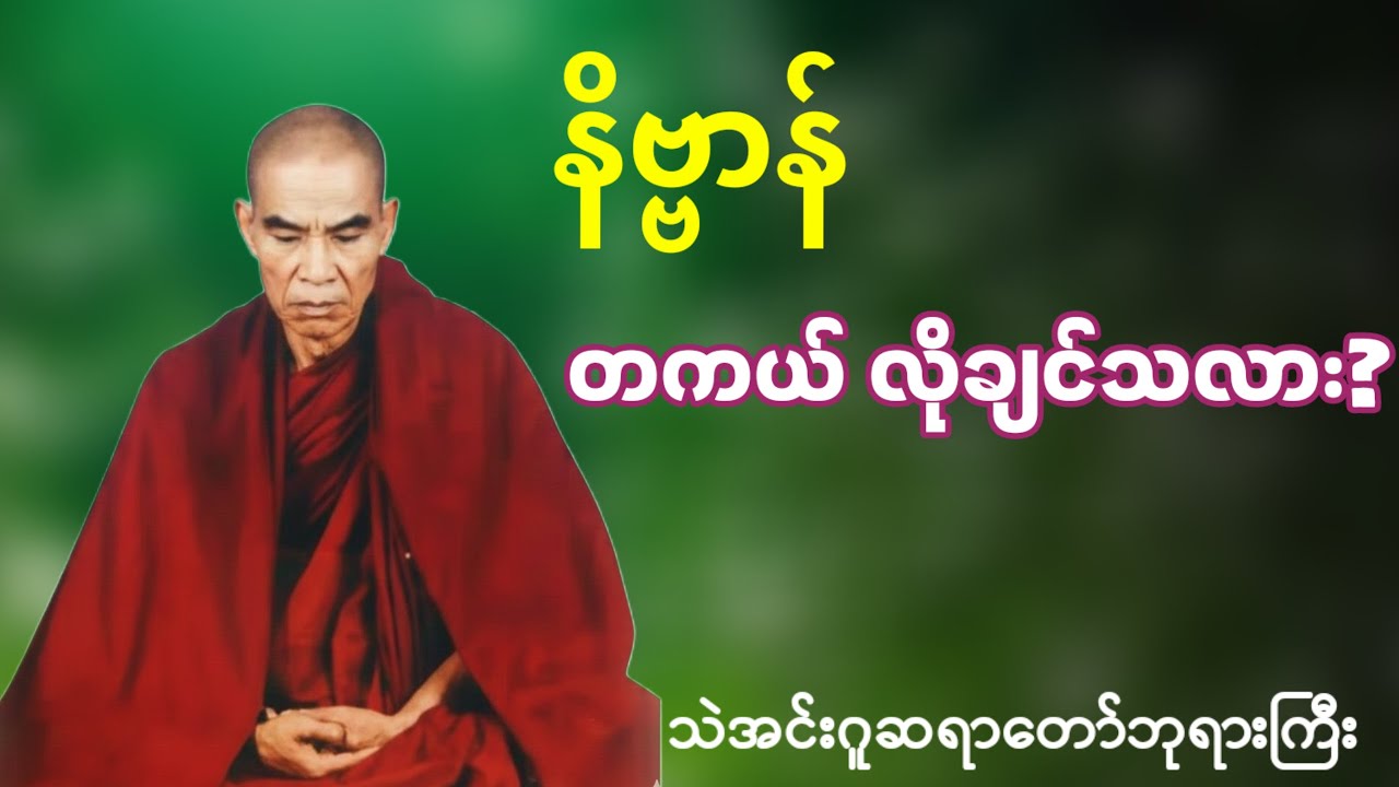 လူ့ဘဝရခိုက် တန်ဖိုးရှိတဲ့အချိန်မှာ အပါယ်လွတ်တဲ့ ဝိပဿနာတရားတော်တွေကိုကြိုးစားနာယူပါ
