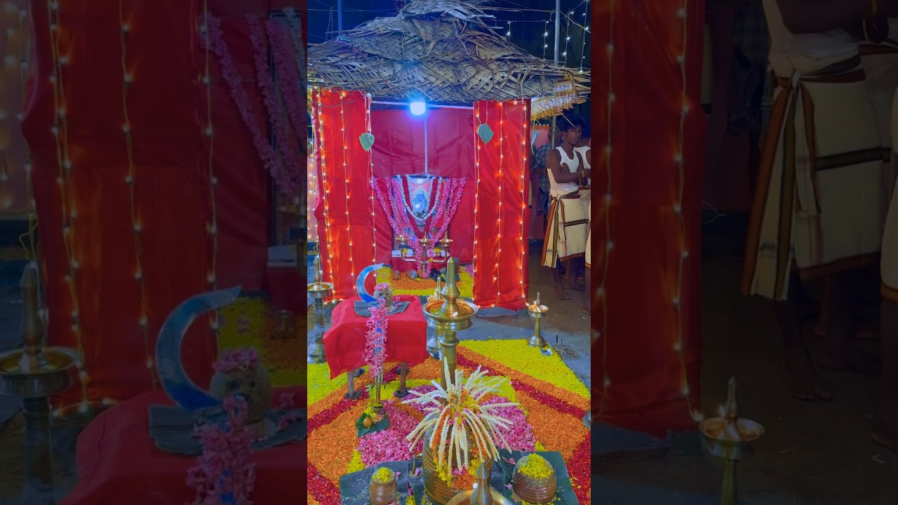 #kuthiyottam #arangettam #veerabhadra kuthiyotta kalakshethra #traditional #folk #dance #2023
