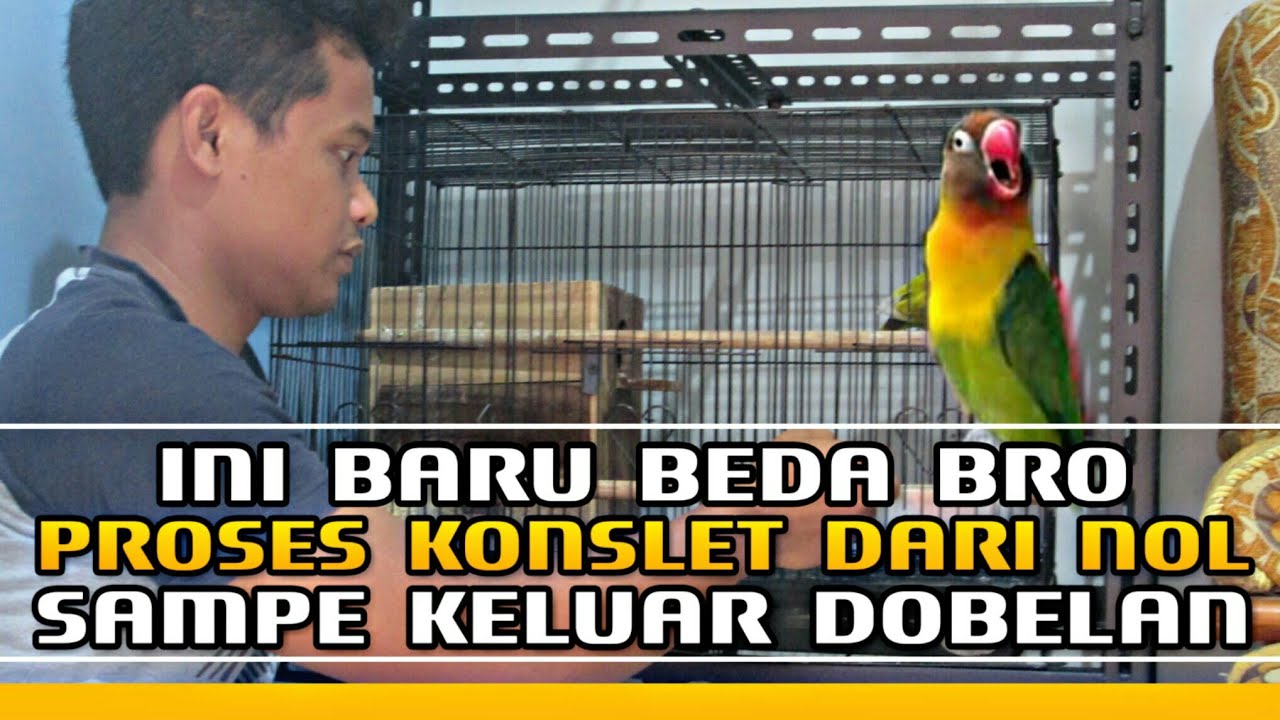 PROSES KONSLET DARI NOL | BERSAMA OM NOVI GAM BANJARNEGARA