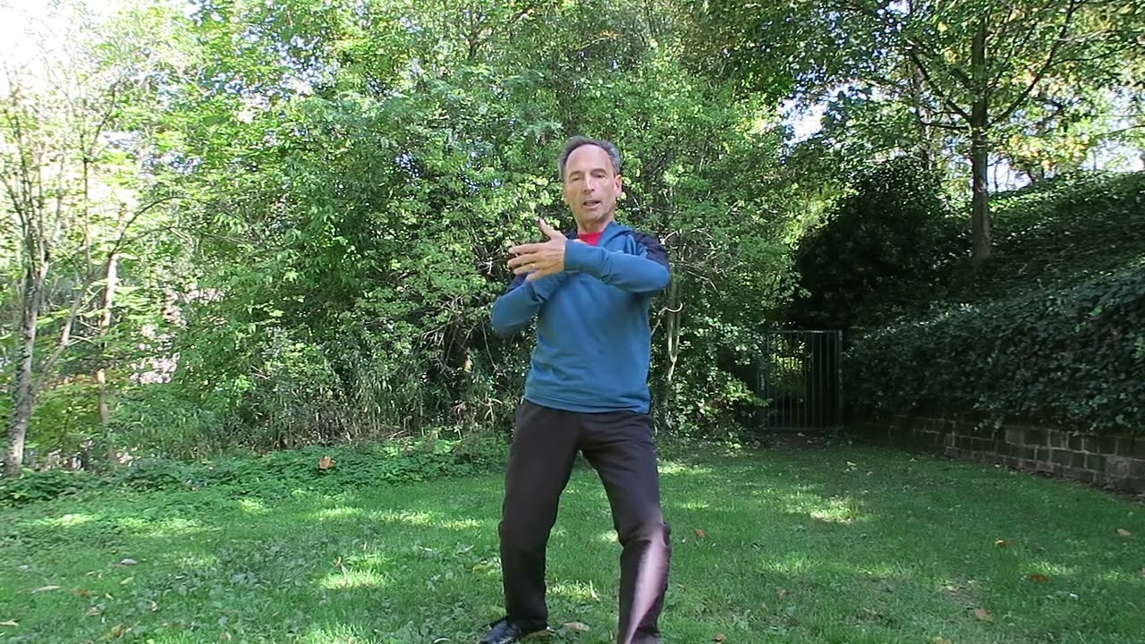 La marche du Taichi avec la saisie de la queue de l'oiseau et le paré
