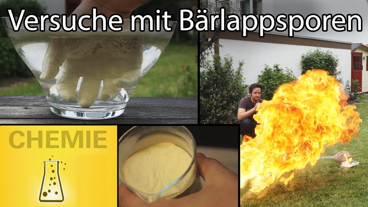 Bärlappsporen - Versuche mit Feuer und Wasser!