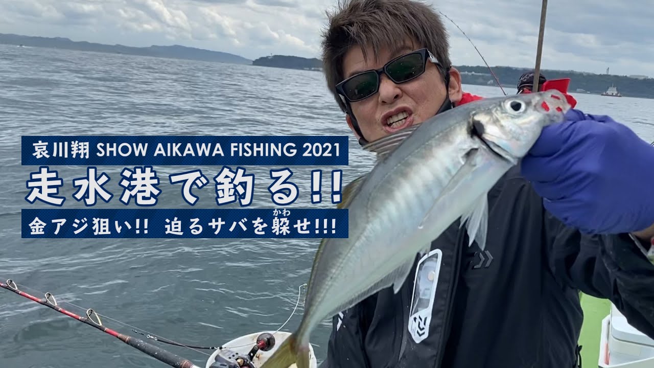 【金アジ連発 ‼︎ 】哀川翔、走水のブランドアジを狙う。 迫るサバを躱せ ‼︎【釣り#16】