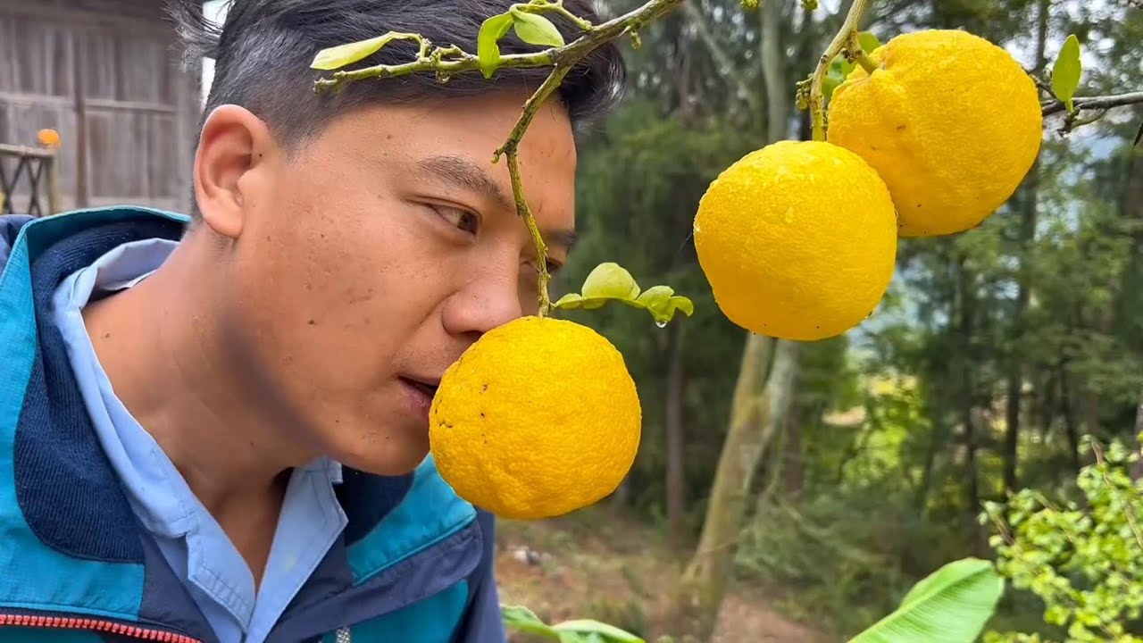 小园里的萝卜可以吃了，今天小雨，萝卜炖牛肉暖暖胃，太香了#乡村烟火气最抚凡人心 #隐藏在大山里的世外桃源 #平淡治愈的乡村生活 #记录我的大山生活
