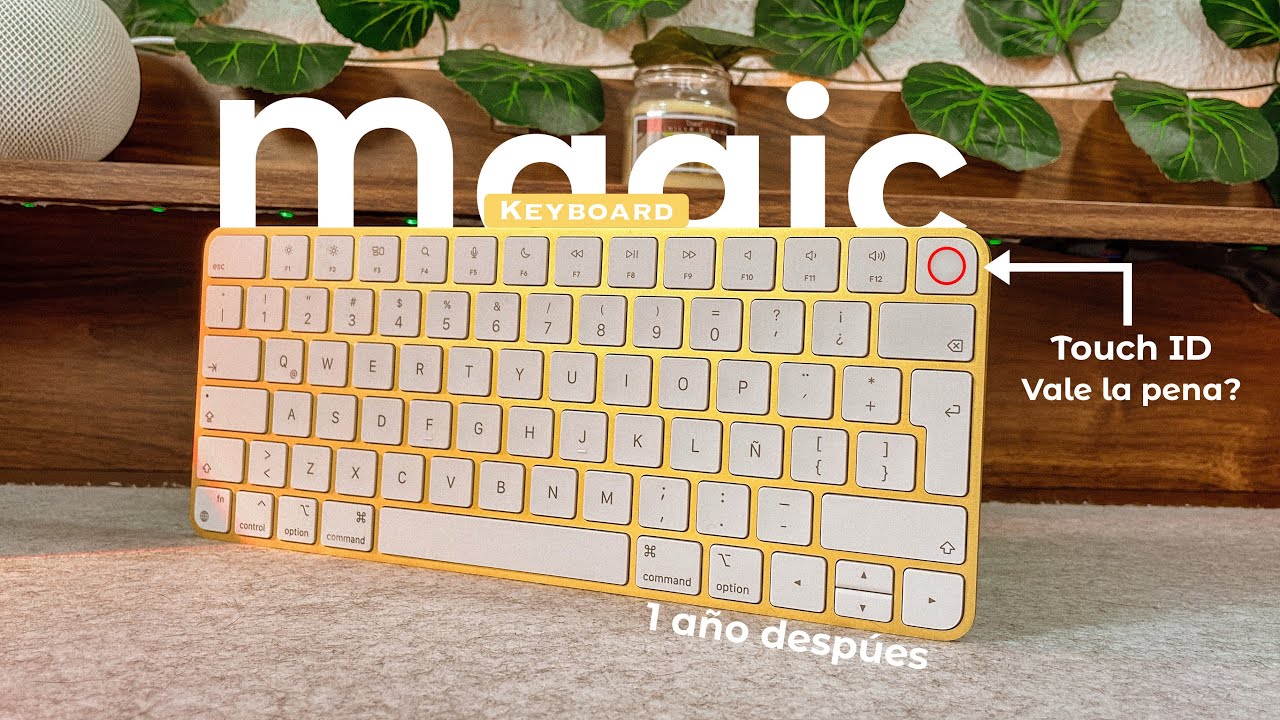Magic Keyboard en 2024 | Review 1 año después