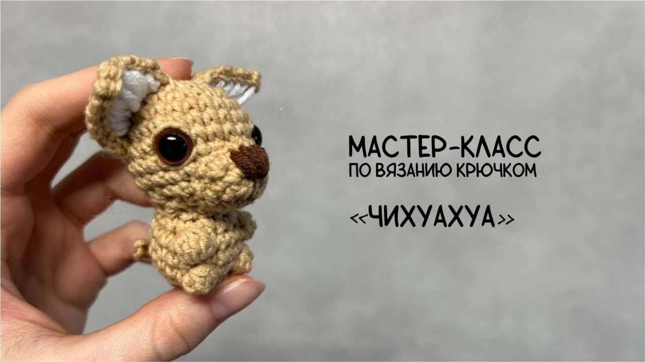 Мастер-класс по вязанию чихуахуа крючком