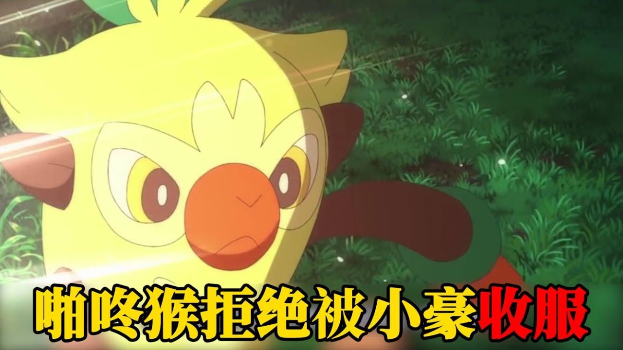 宝可梦旅途101集速看：啪咚猴拒绝被小豪收服，这简直大快人心
