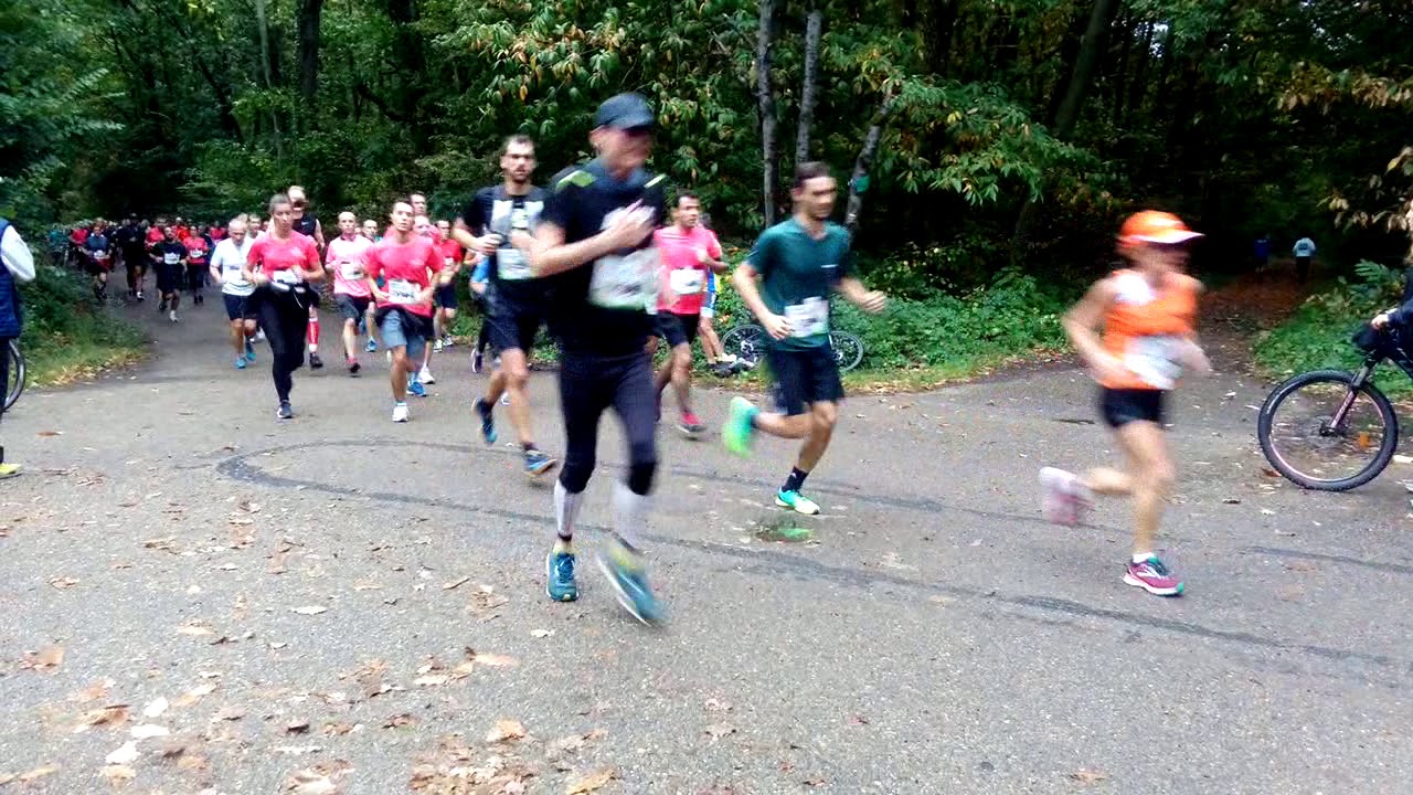 Paris Versailles La Grande Classique 2019 (Forêt de Meudon) 11h03-11h25