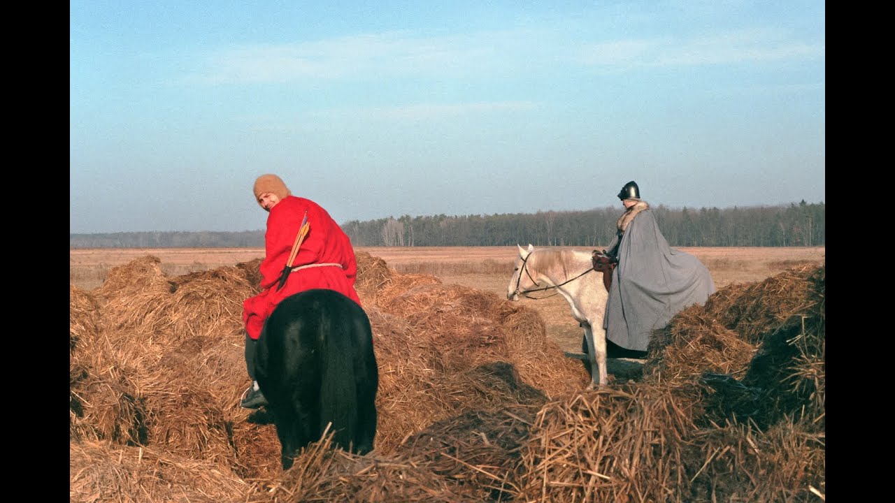 Dłonie - Płotki
