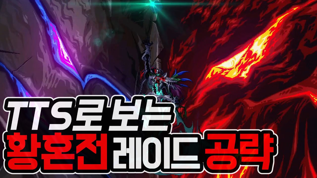 [던파]TTS로 보는 이내 황혼전 레이드 공략