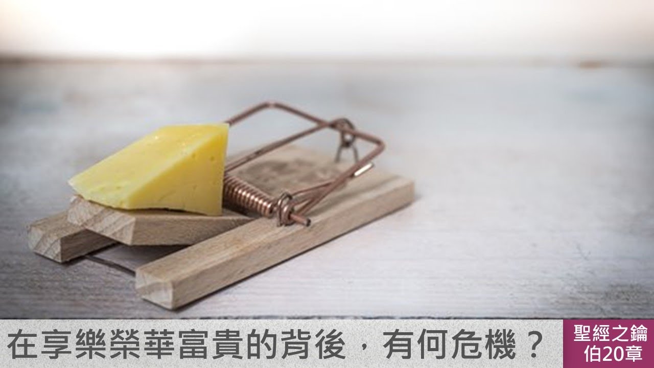 約伯記-第20章-瑣法：惡人惡行惡刑【聖經之鑰】Job