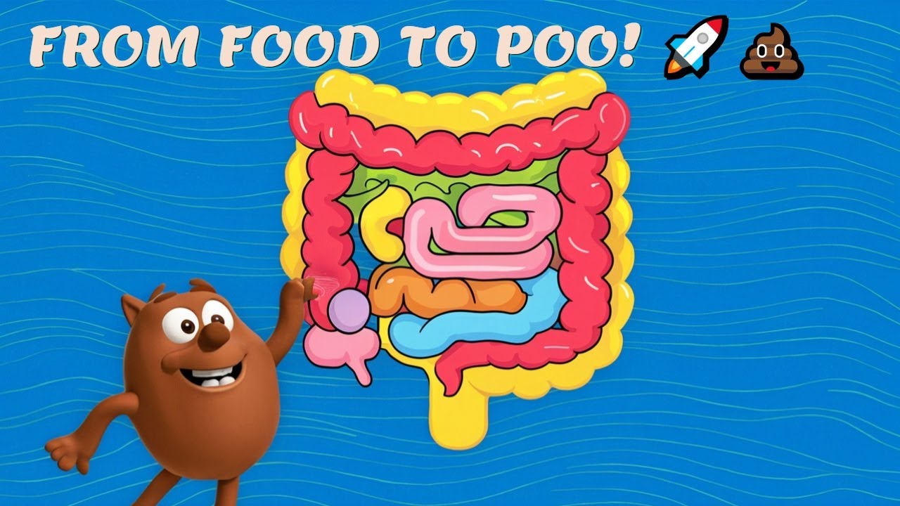 The Digestive Journey:  Food to Poo and More! (Animation)