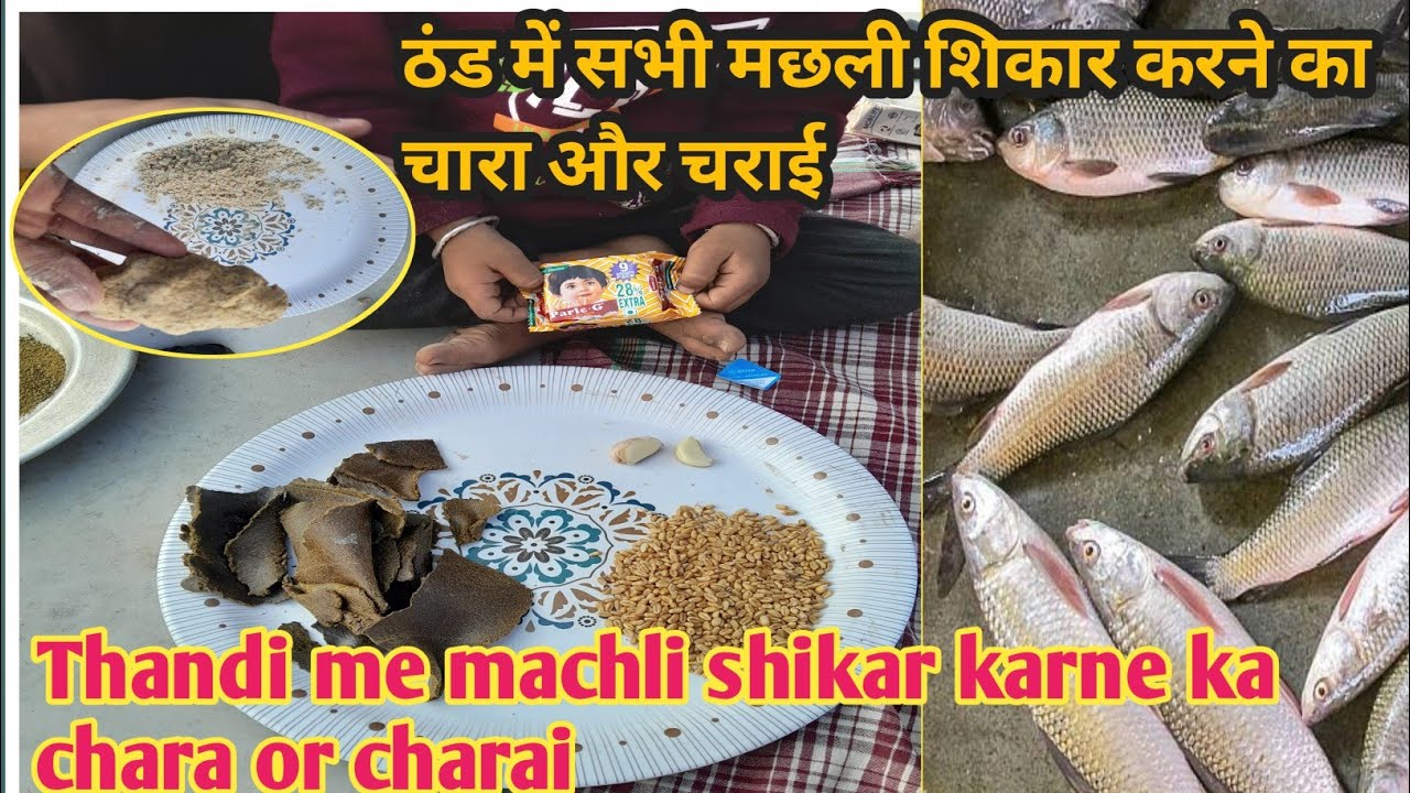 ठंडी में सभी प्रकार के मछली शिकार करने का चारा और चराई | Thandi me sabhi machli ka chara or charai