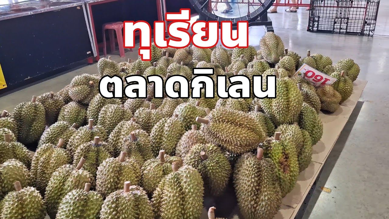 ทุเรียนสวยๆตลาดกิเลน