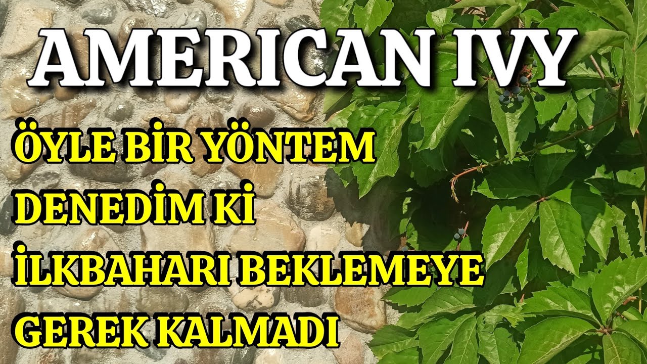 İlkbaharı Bekleme, Sonbaharda İşlem Tamam