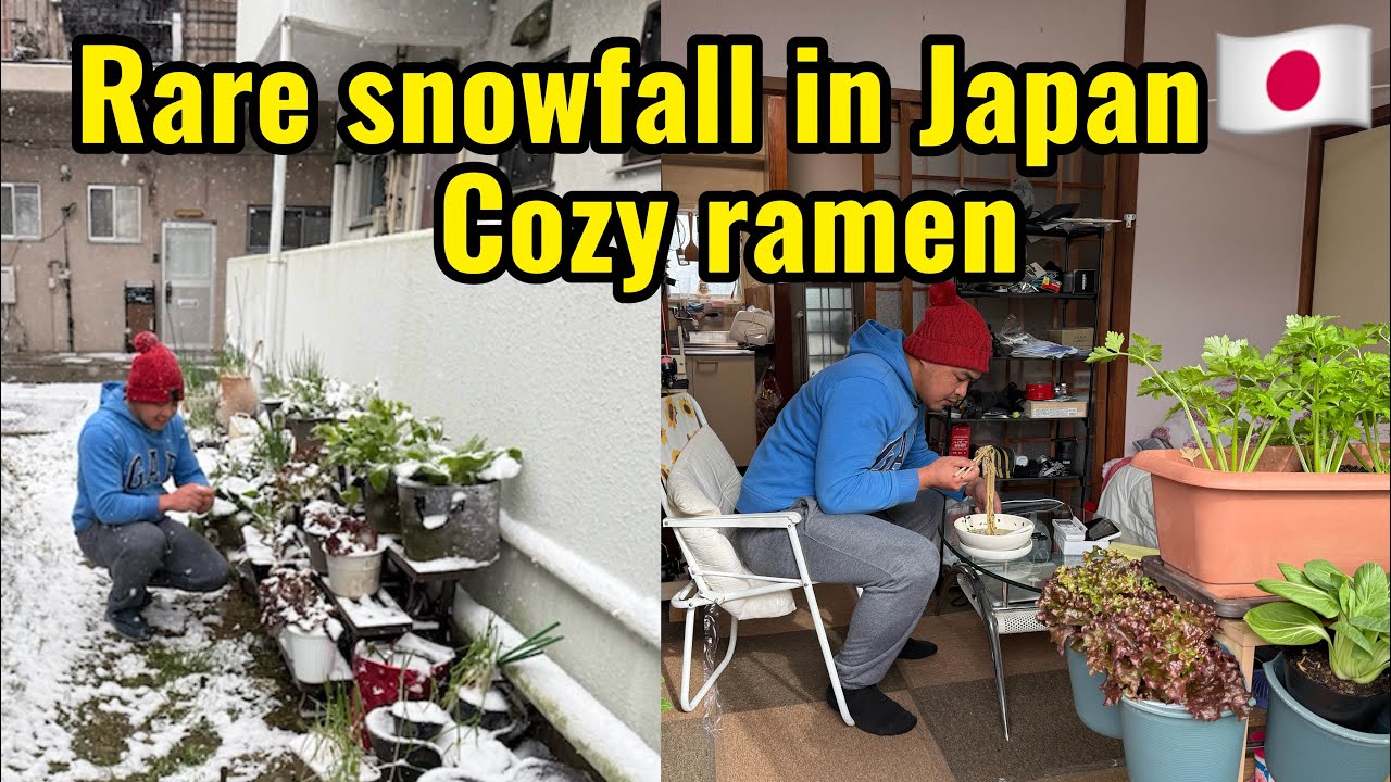 Oranges picking in Japan🇯🇵/Rare Heavy Snowfall in japan/cooking Cozy Ramen at Home/silent vlog 