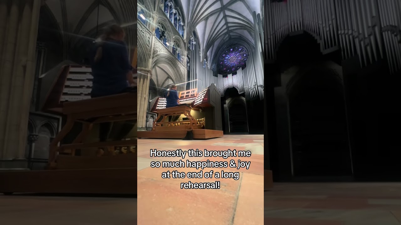 This is Nidaros Cathedral where we recorded Firedove! 2 DAYS TO GO!🕊️ #organ #organtok #pipeorgan