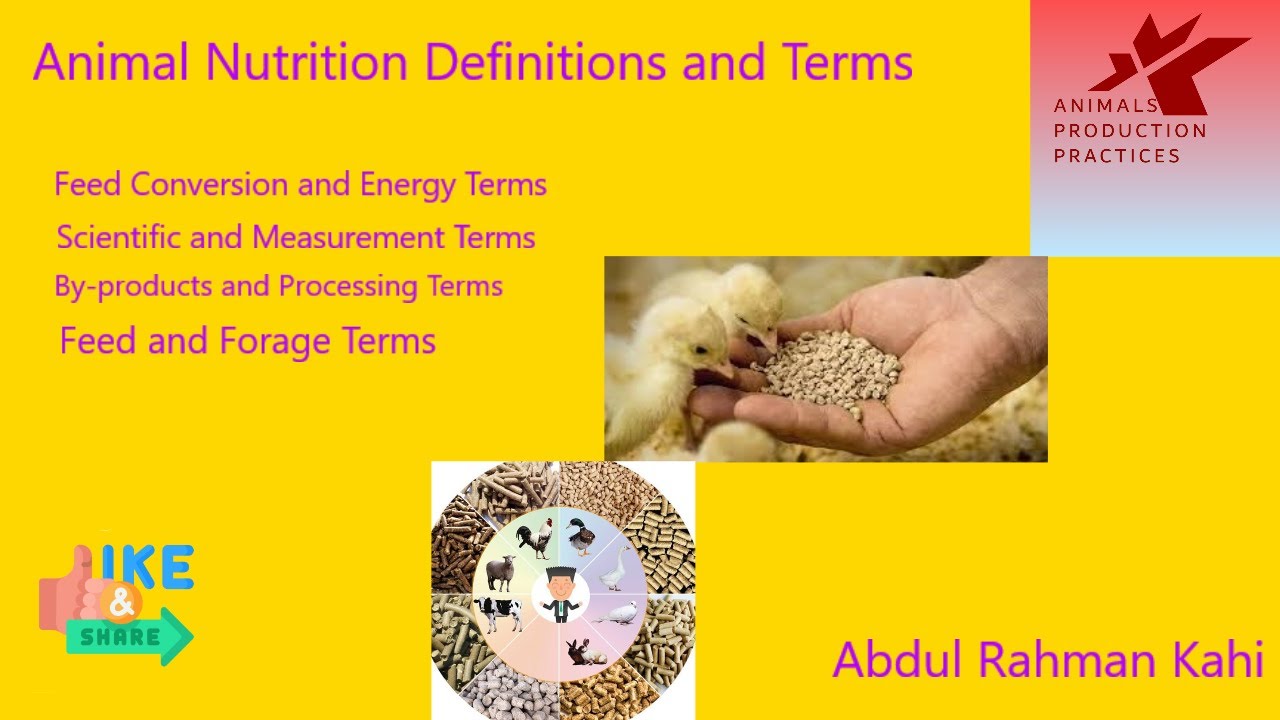 Animal Nutrition Definitions and Terms