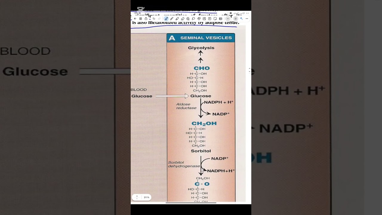 Biochemistry lec 7 part 1 طب الاسنان مرحله ثانيه 