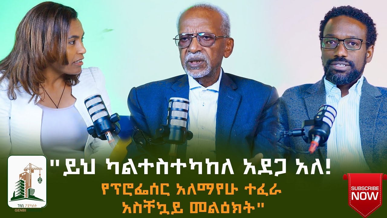 ስለ ኮንስትራክሽን ስራዎች ፕሮፌሰር  አለማየሁ የሚያሳስባቸው ምንድነው?