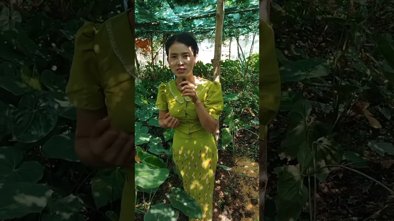 ထပ်ထပ်ခါစိုက်စရာမလို