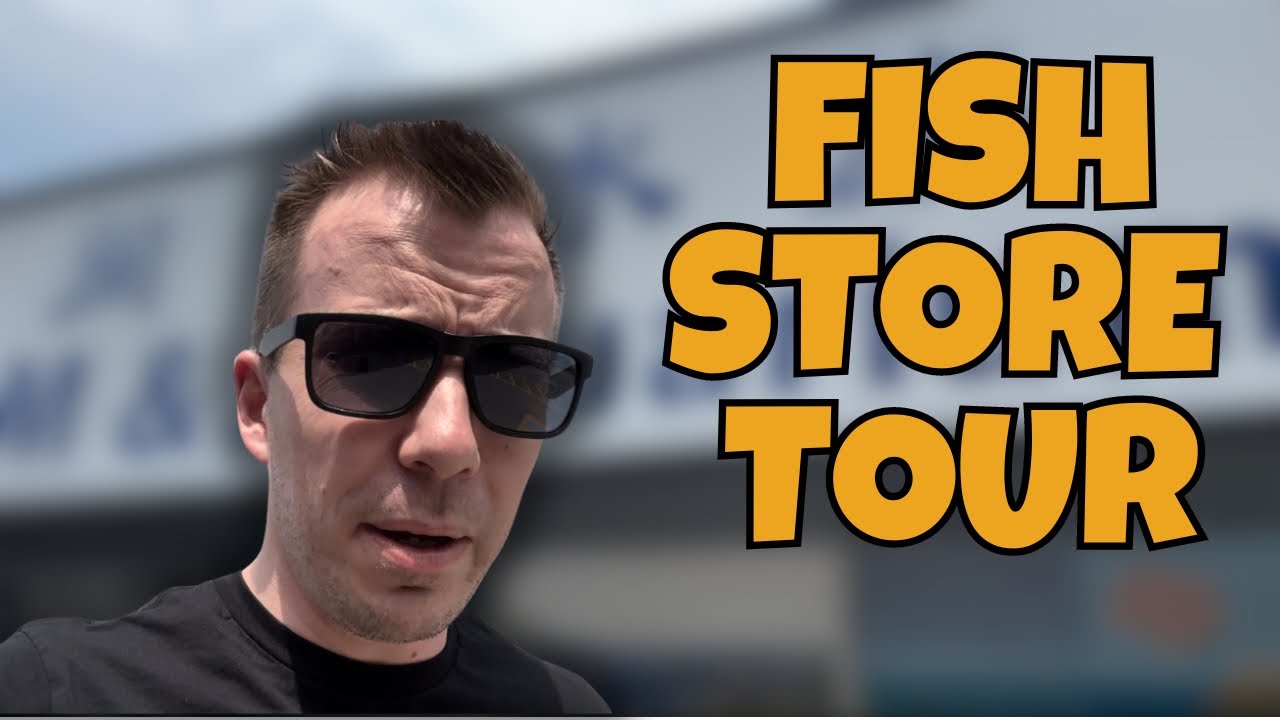 FISH STORE WITH RARE CICHLIDS & STUNNING JAPANESE KOI - M&J Aquarium (Fish Store Tour)