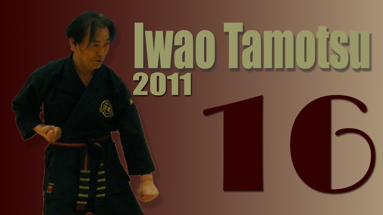 Renshinkan summer seminar 17.-19.6.2011 part 16