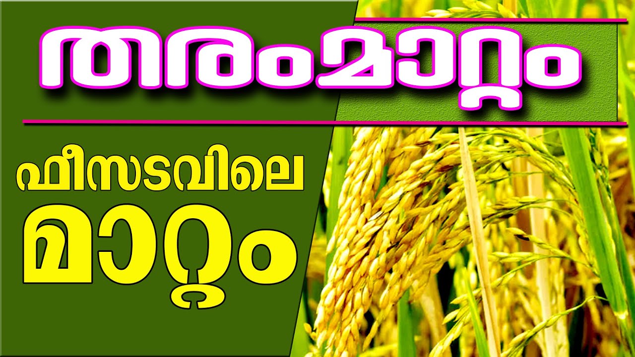 നിലം തരംമാറ്റം ഫീസ് പുതിയ മാറ്റം|| FEES REMITTANCE || WETLAND ACT KERALA || MALAYALAM