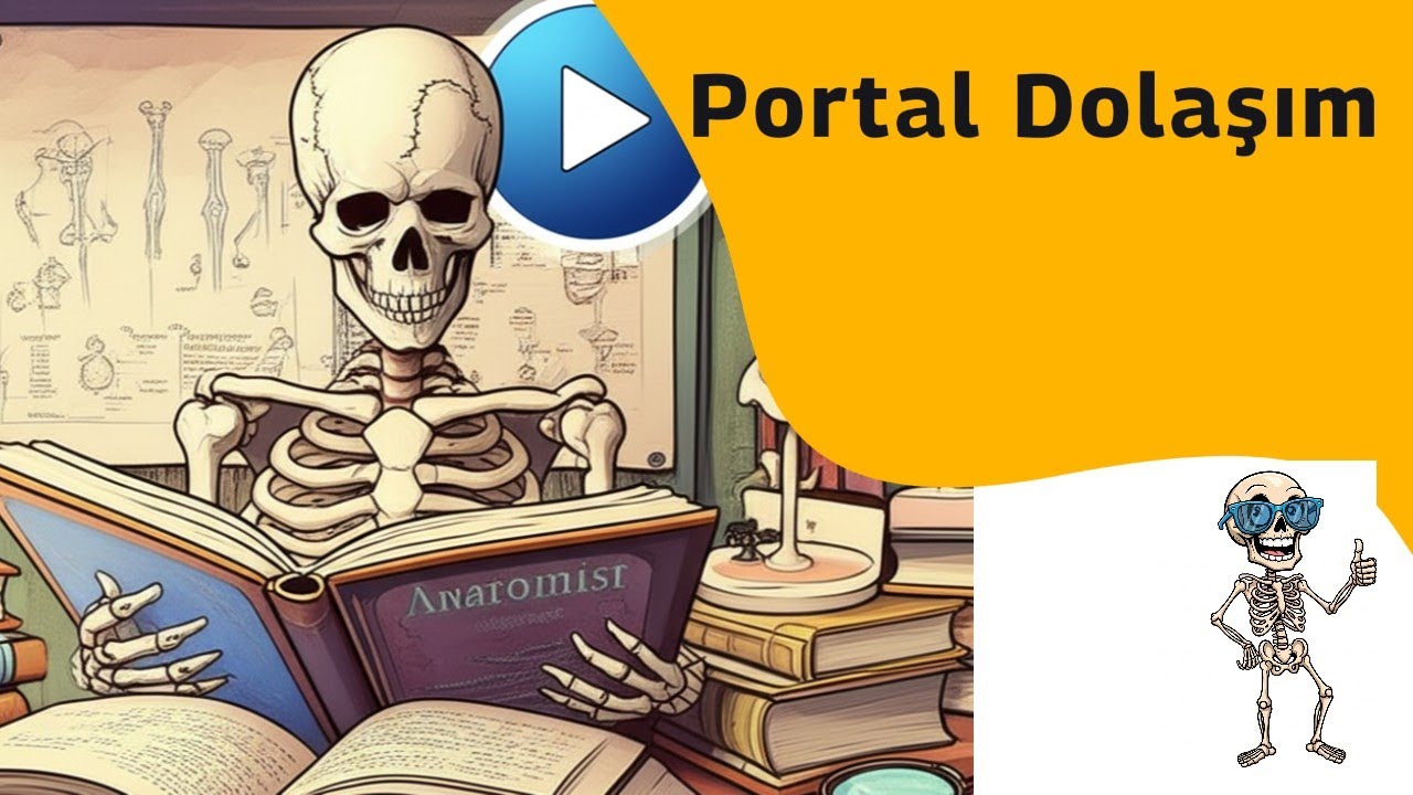 Portal Sistem Anatomisi (Portal Dolaşım) [Teorik]