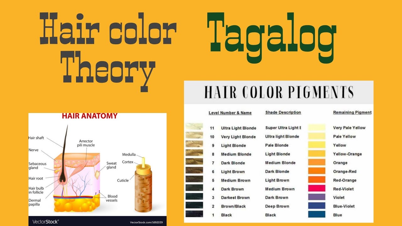 HAIRCOLOR theory TAGALOG